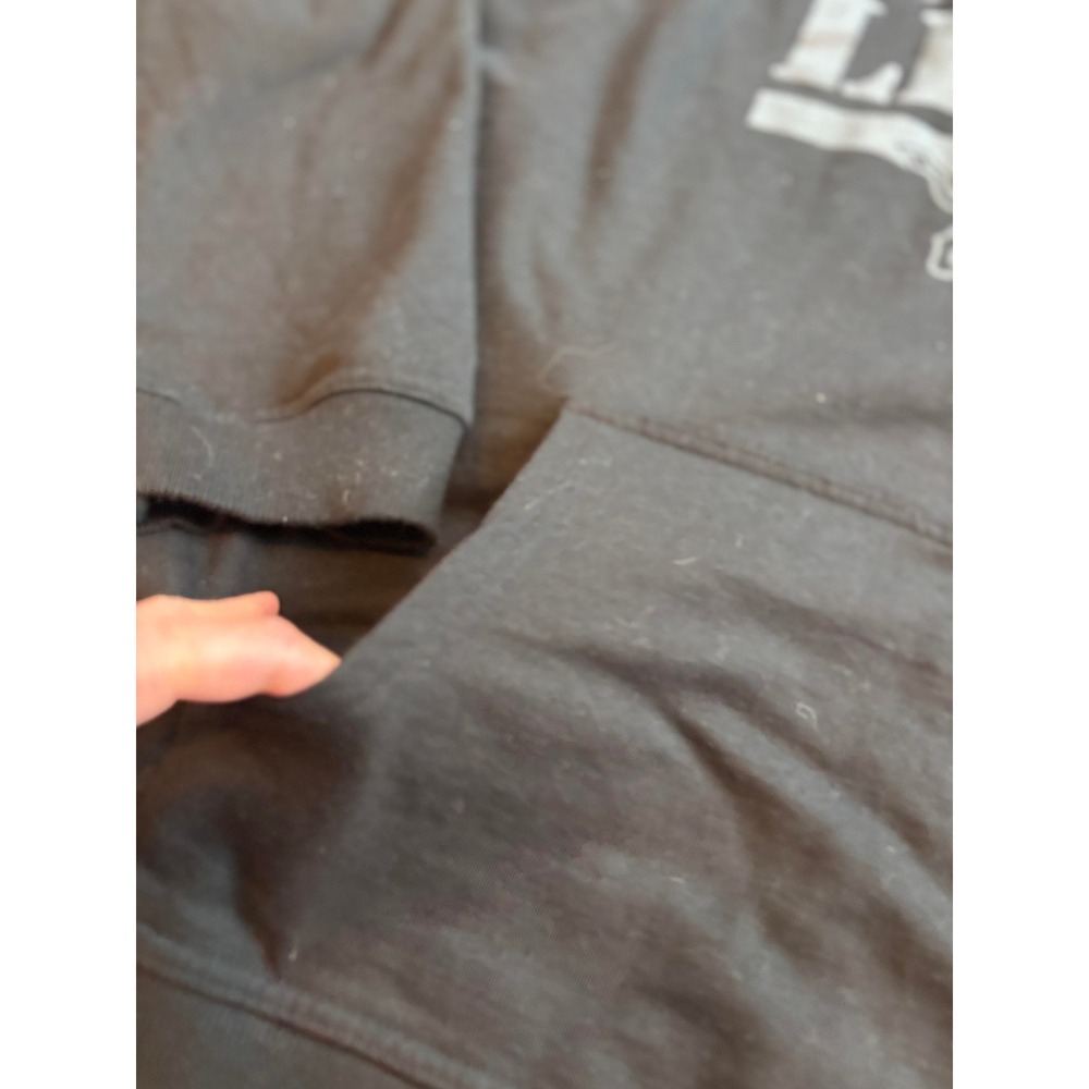 Detroit Lions NFL Team Apparel Mens Black Pullover Hoodie Sweatshirt 3XL NWOT - Picture 4 of 5